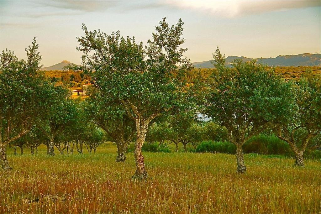 Quinta Da Bela Vista Apartment Povoa e Meadas Bagian luar foto