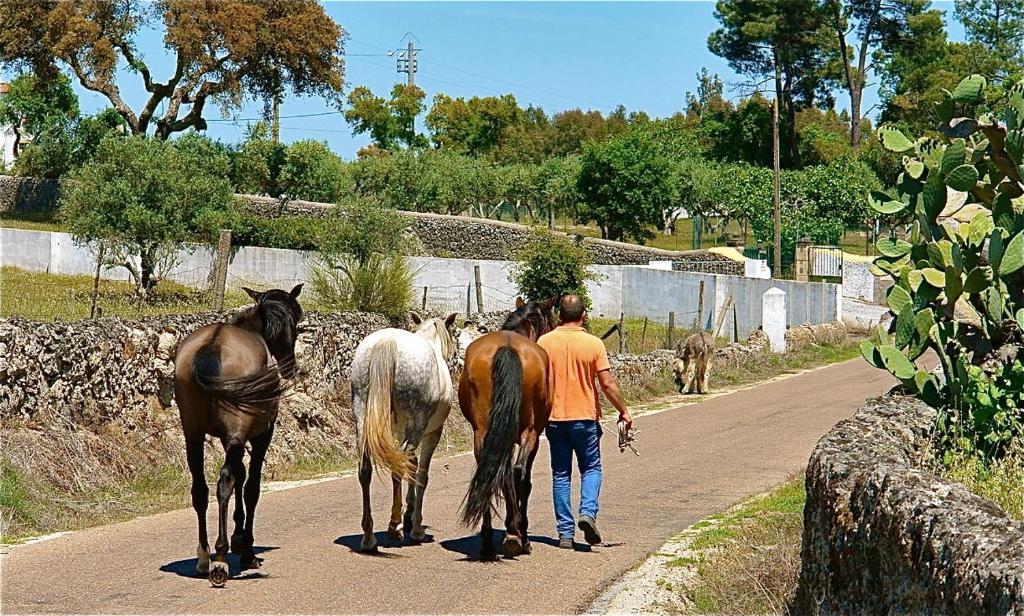 Quinta Da Bela Vista Apartment Povoa e Meadas Bagian luar foto